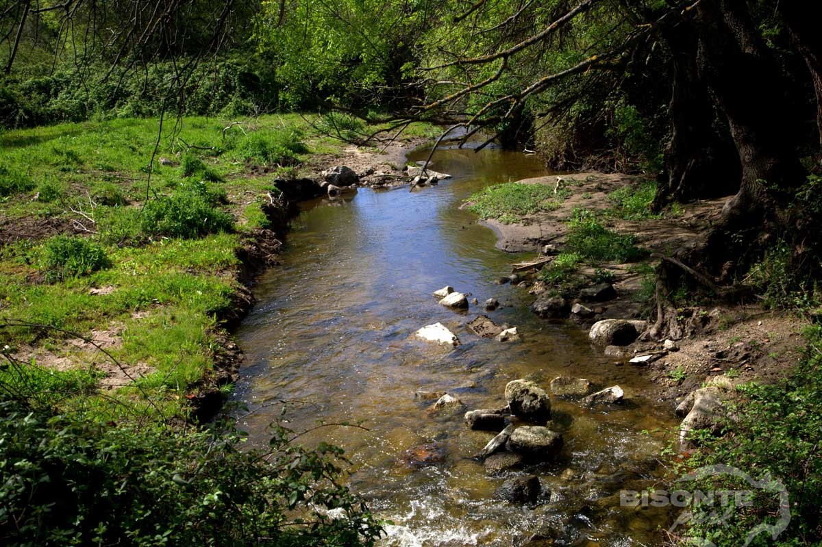 Riachuelo en Bisonte Park Madrid