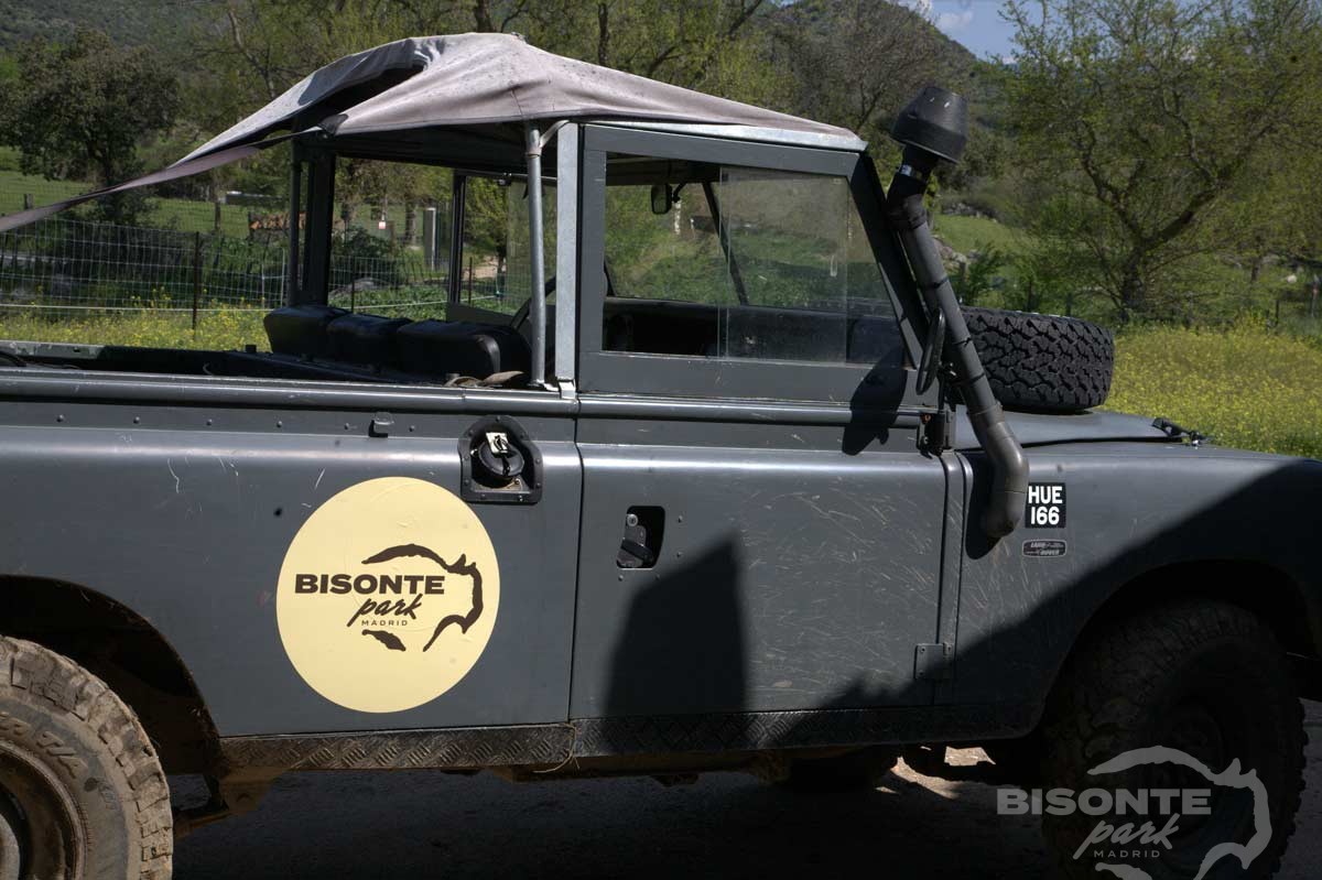 Los vehículos de experiencia de Bisonte Park Madrid
